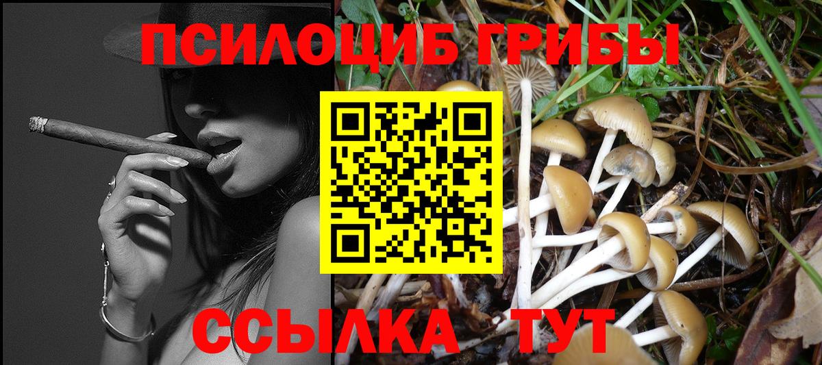 Галлюциногенные грибы MAGIC MUSHROOMS  Вход с VPN  Псилоцибиновые грибы мицелий  Кинель 