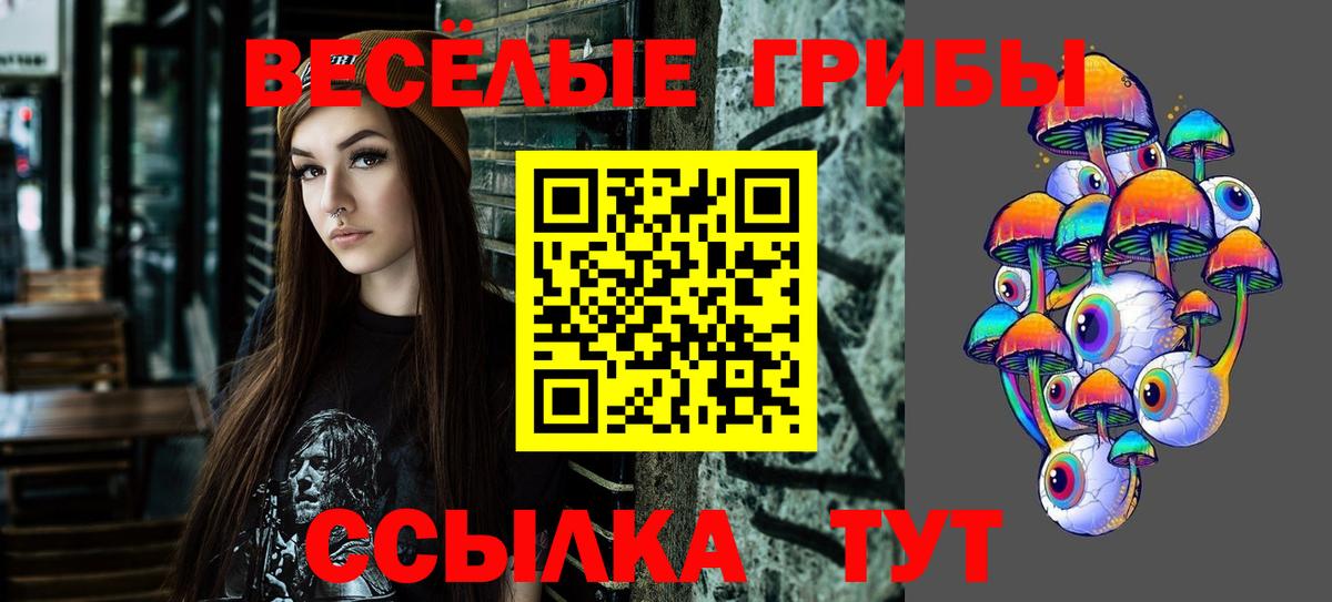 Псилоцибиновые грибы мицелий Кинель